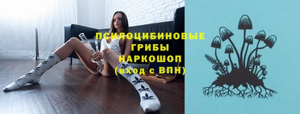 хмурый Алзамай