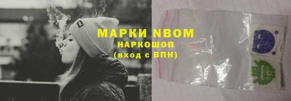 хмурый Алзамай