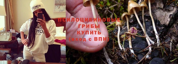 кокаин колумбия Алексин