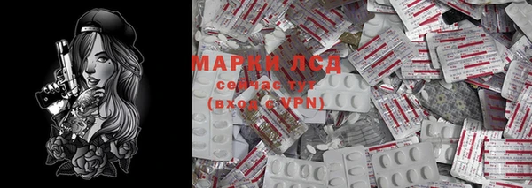 хмурый Алзамай