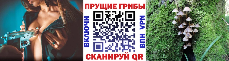 закладка  Ишим  Галлюциногенные грибы Psilocybine cubensis 
